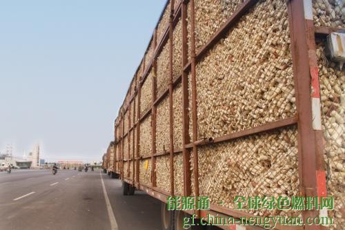 龙力生物：玉米地里能收粮，还能产出功能糖和“石油”