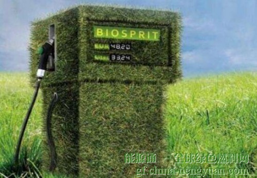 APPA声称生物燃料是西班牙能源计划的关键组成部分
