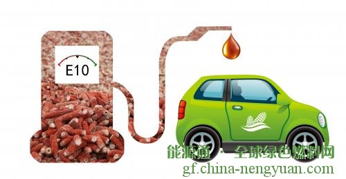 龙力生物参加2019中国燃料乙醇产业发展论坛