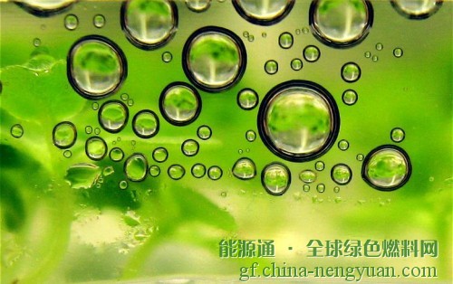 科莱恩、埃克森美孚和REG公司合作推进生物燃料研究