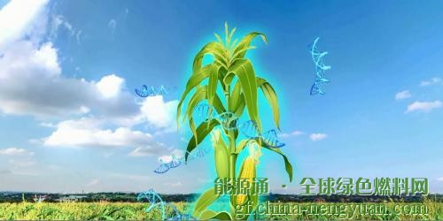 龙力生物：乙醇汽油全面推广在即，二代燃料乙醇是未来发展趋势