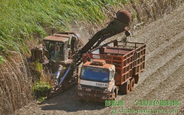 巴西中南部打破了乙醇生产纪录