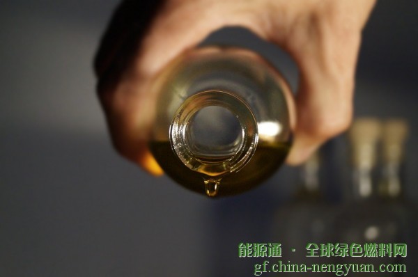 美国能源部和环保署拨款600万美元支持先进生物燃料的开发