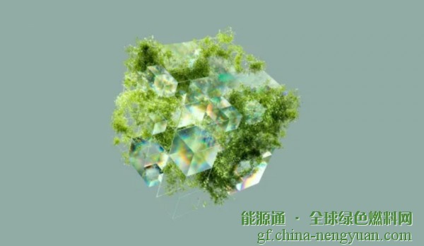 WTTC呼吁旅游业为SAF做出贡献