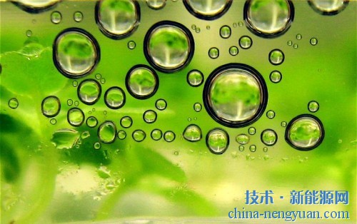干燥：一种更有效的获取藻类生物质的方法